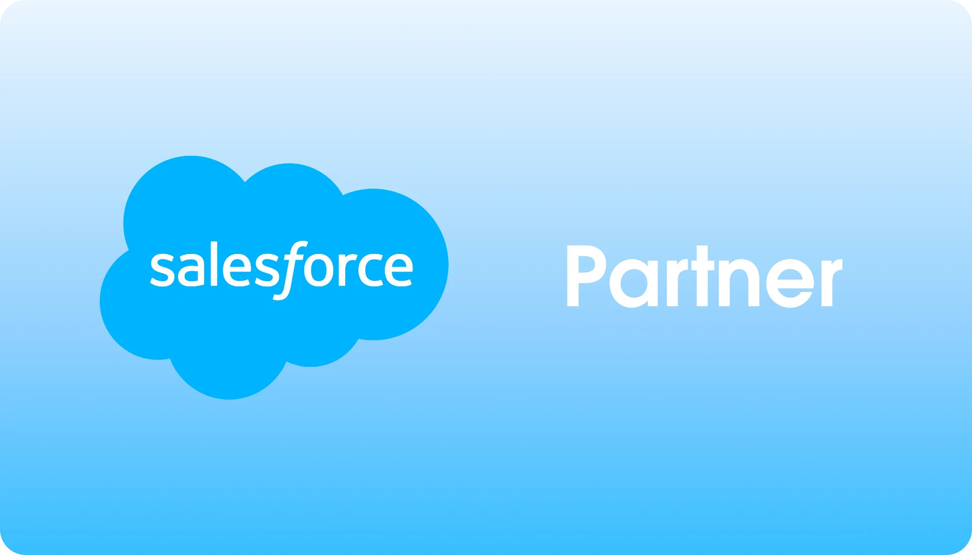 Salesforce Partner