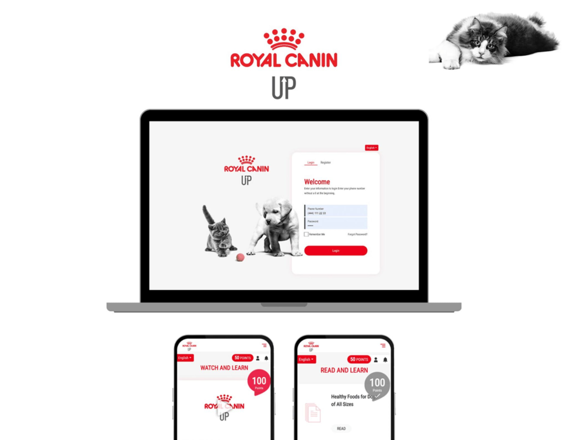 Royal Canin UP loyalty platform shown on desktop and mobile, with login, learning content and points