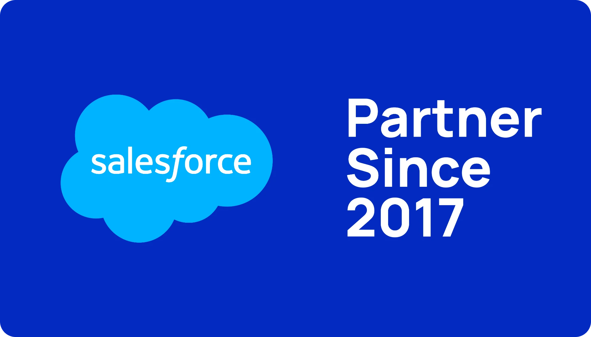 Salesforce Partner Since 2017