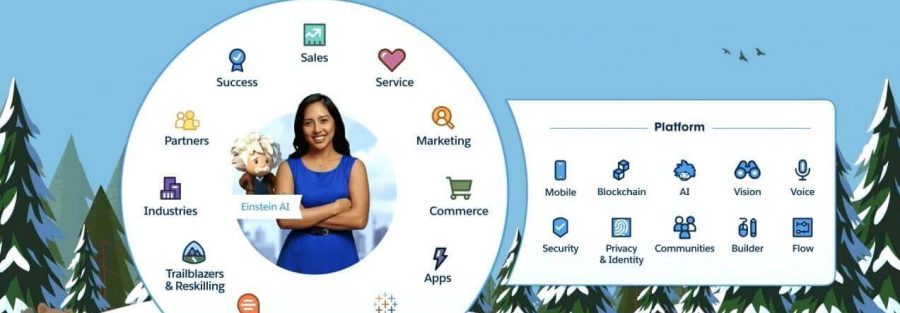 Salesforce Customer 360º
