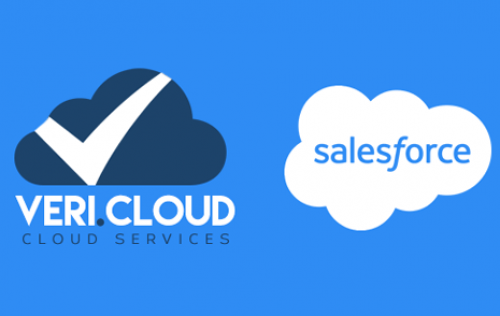 Salesforce Hizmeti Alan Büyük Şirketler Nelerdir?