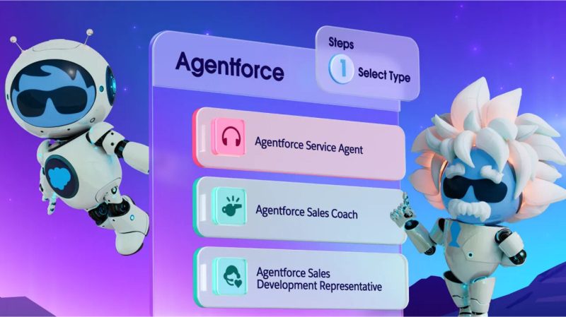 Salesforce Partner Ağı